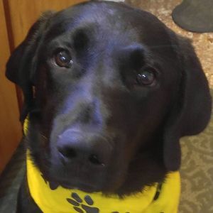 Meet your Posher, Donna